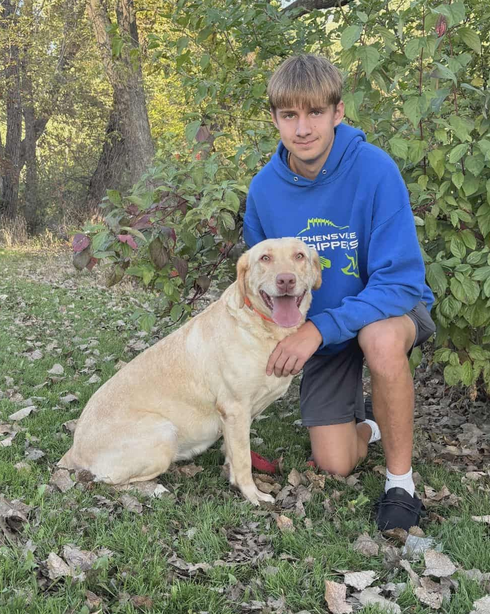 A Labrador sitting on a blue mat in a cage.