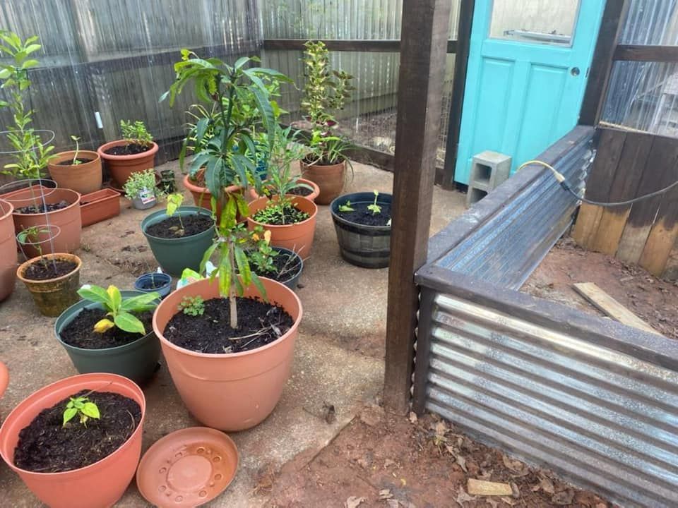 Potted plants and a raised garden bed in a greenhouse with a turquoise door.
