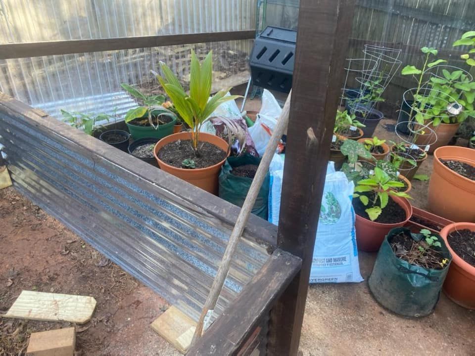 A small garden with potted plants and a corrugated metal structure.