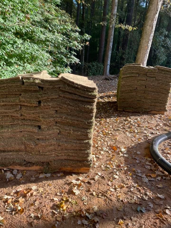 Stacks of sod on pallets outdoors, surrounded by leaves and trees.