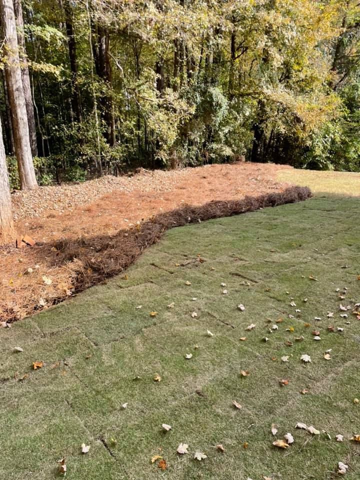 Lawn and mulch beds border a wooded area. The grass is green, the mulch is brown, and trees are in the background.