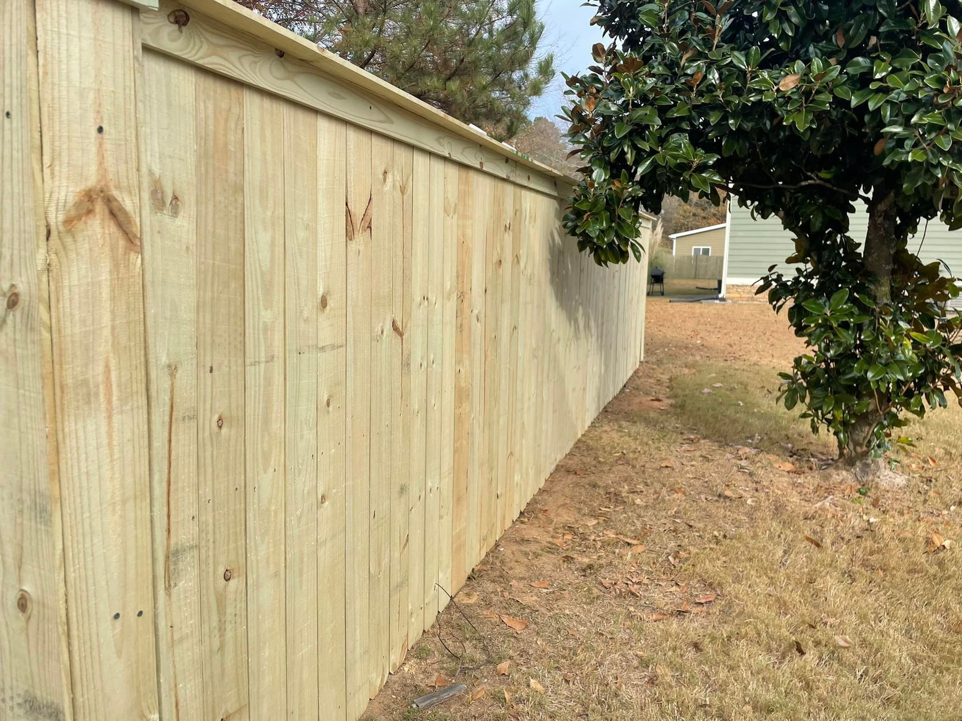 Wooden fence curves along a grassy yard, near a tree and a house.
