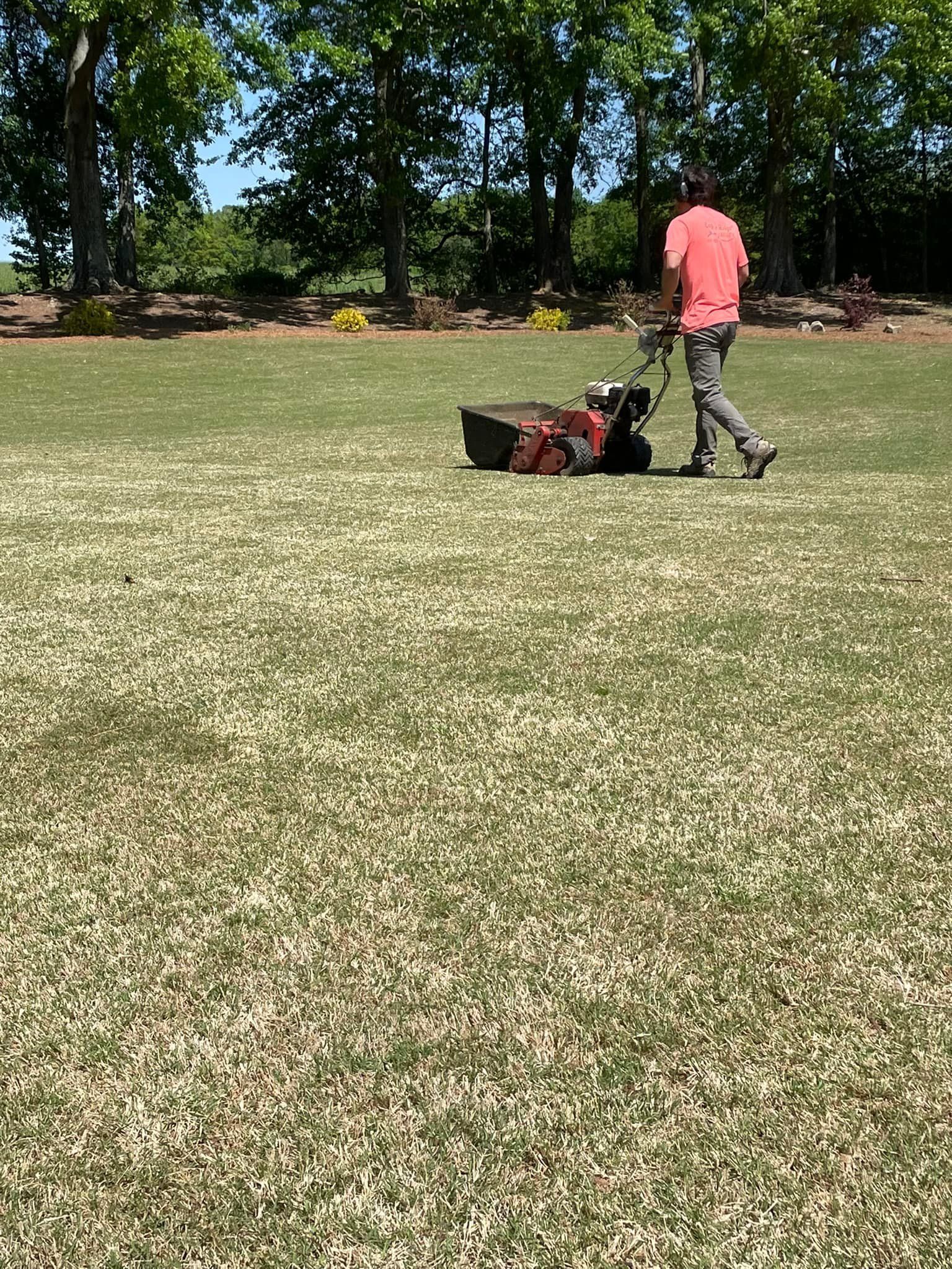 Person mowing a large lawn with a red and black lawnmower on a sunny day.