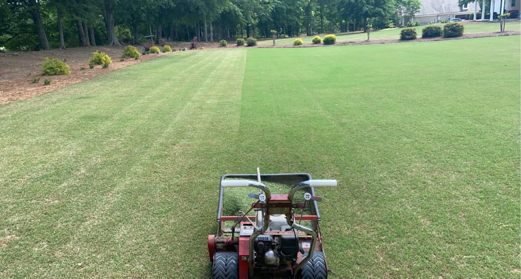 Small lawnmower cuts a strip of green grass in a yard.