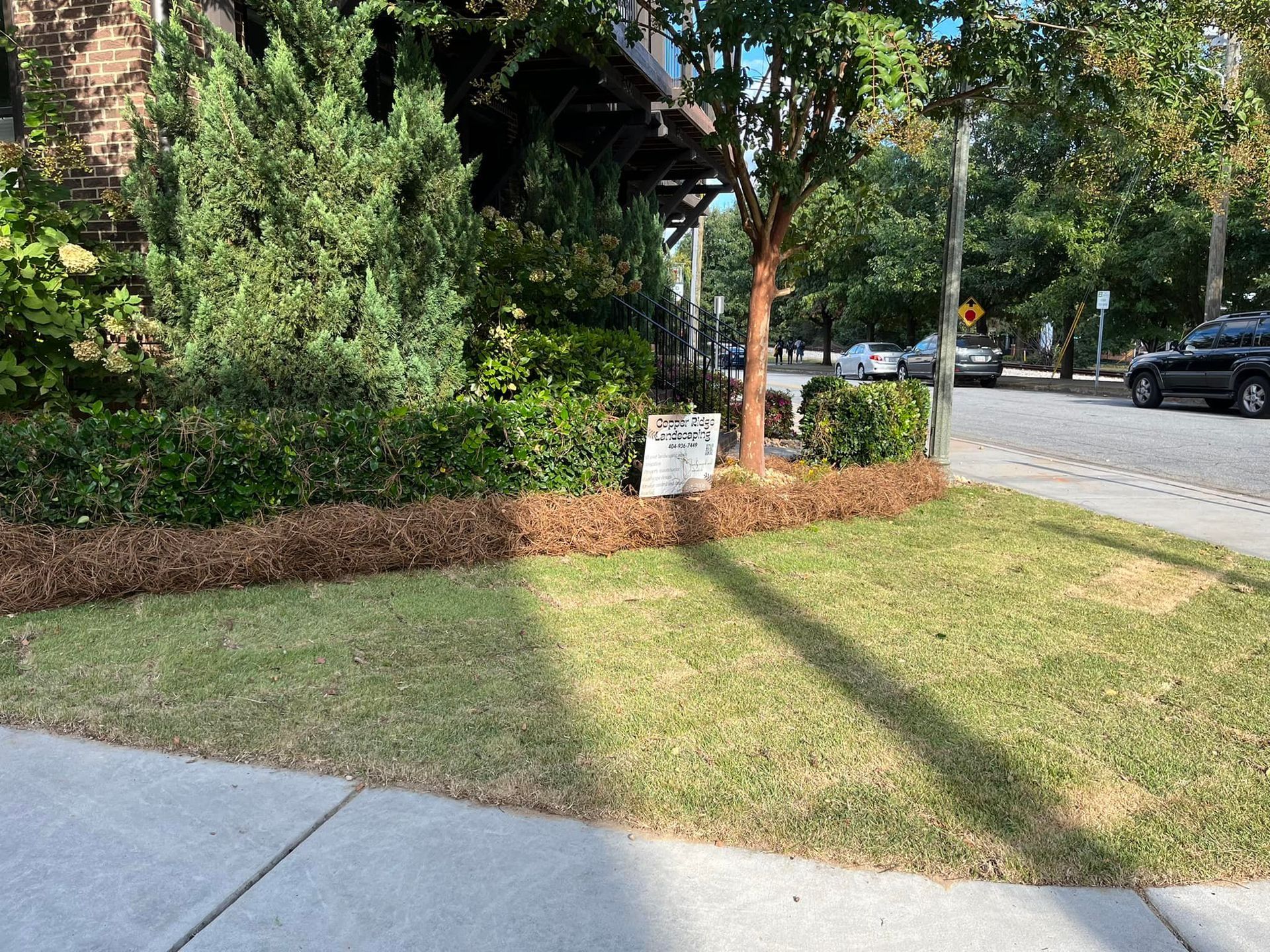 Lawn in front of a building with hedges, dry mulch border, sidewalk, and street with parked cars.