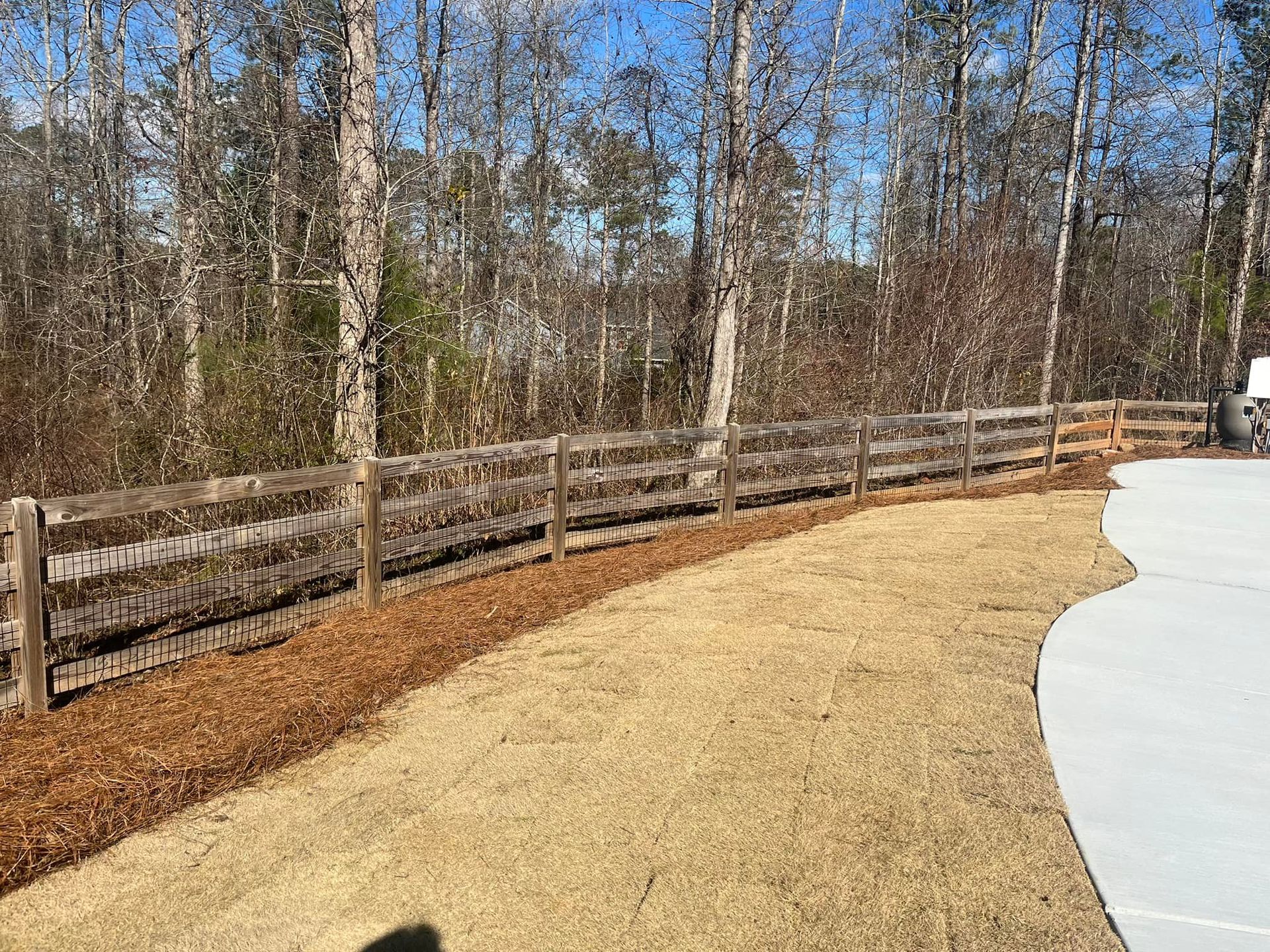 Wooden fence borders a yard with dry grass and mulch, with trees in the background.