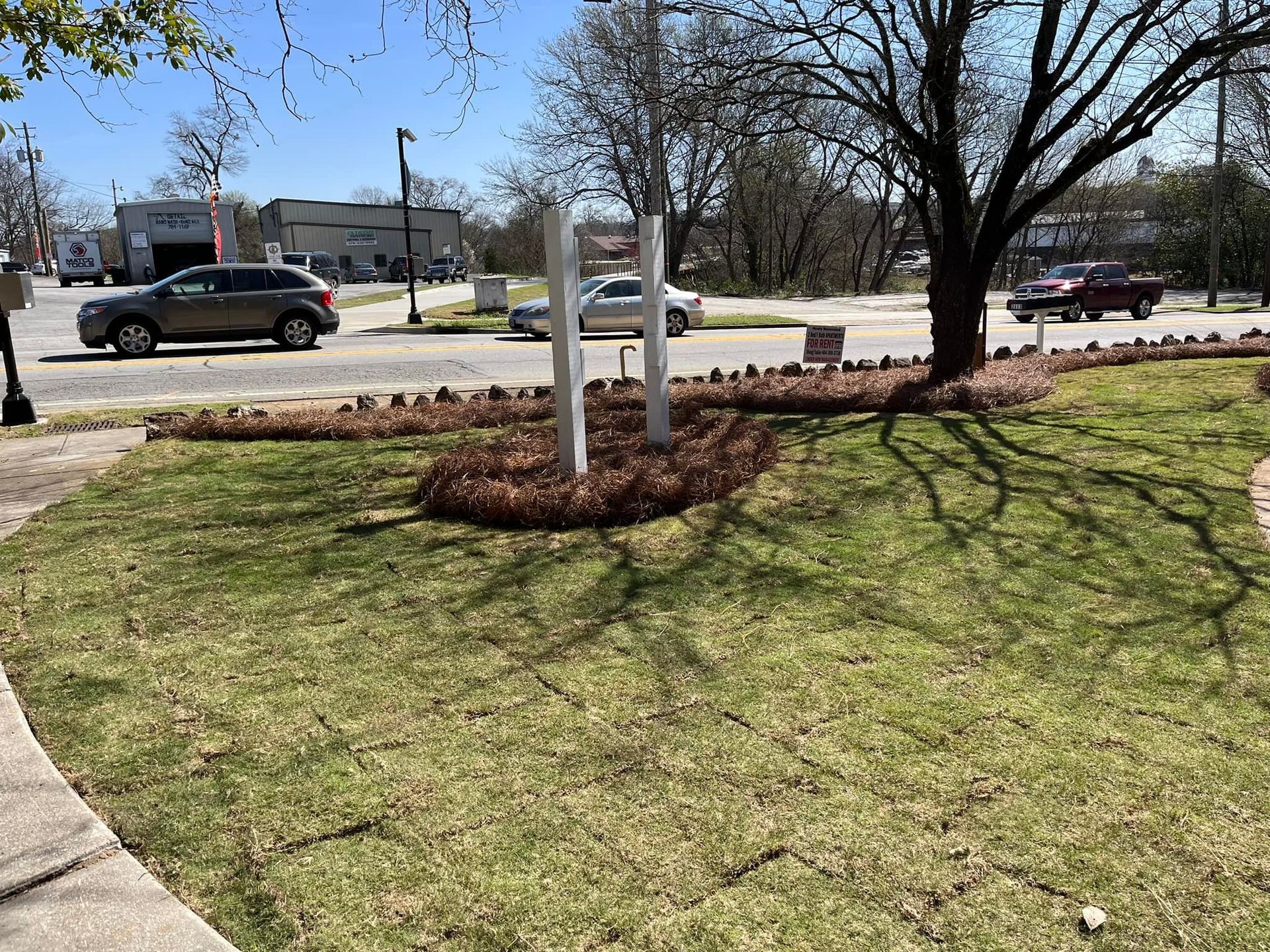 Street scene with cars, trees, and landscaping in front of a building with a sign.