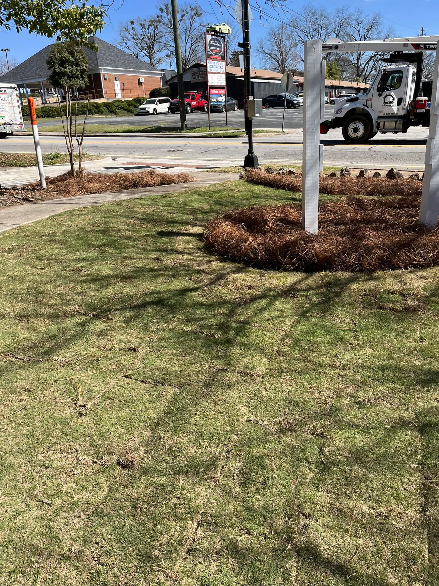 Green lawn with brown plants, road, and buildings in the background.