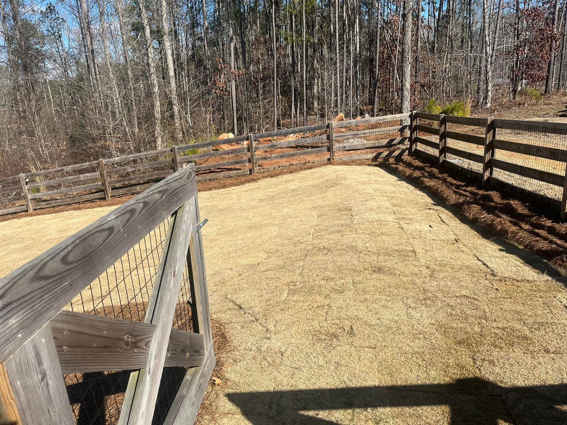 Brown wooden fence surrounds a yard with dry, tan grass, with trees in the background.