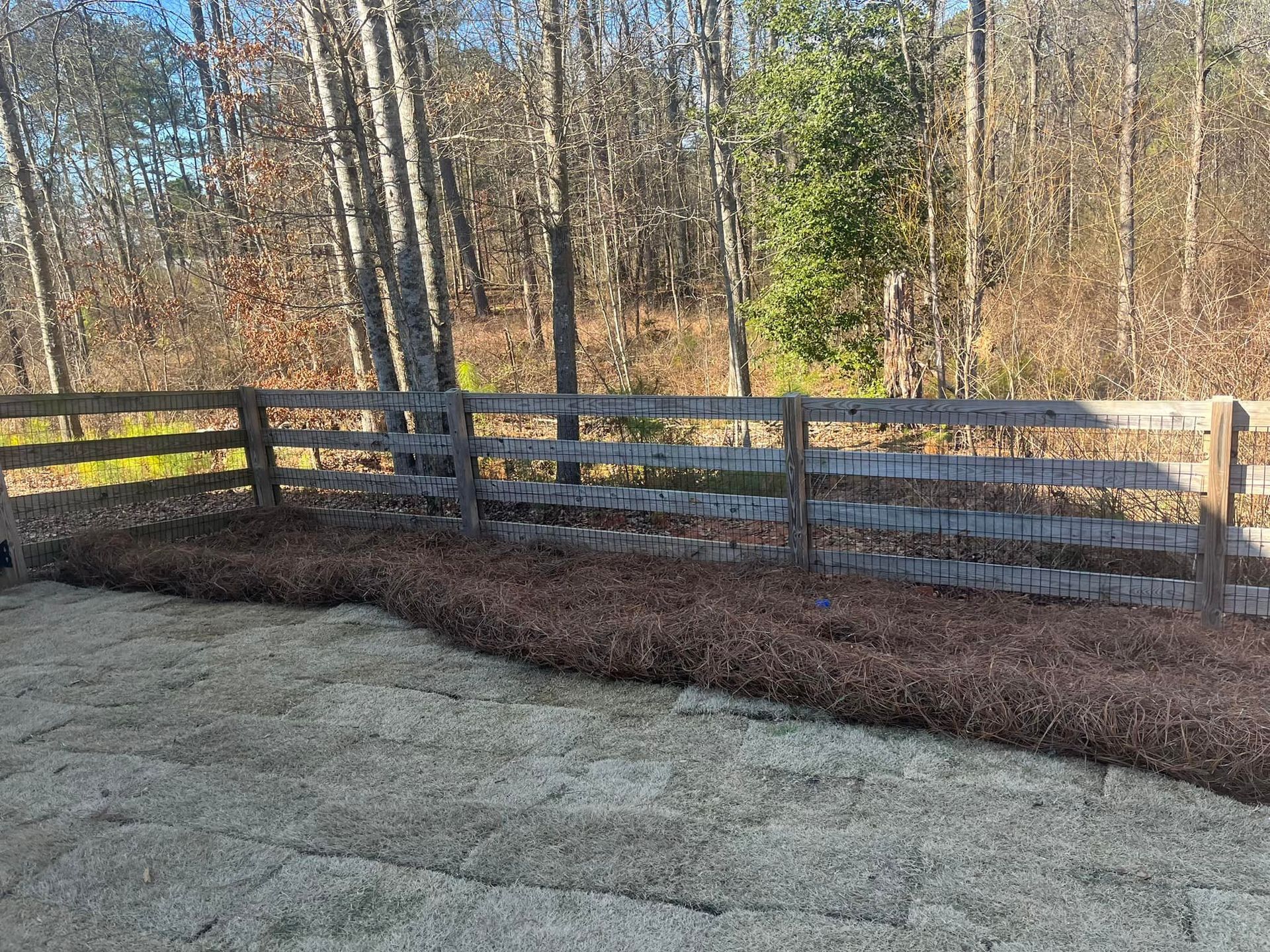 Wooden fence with pine straw border in front of a forest.