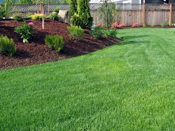 Green lawn borders a landscaped area with mulch, bushes, and trees. Wooden fence in background.