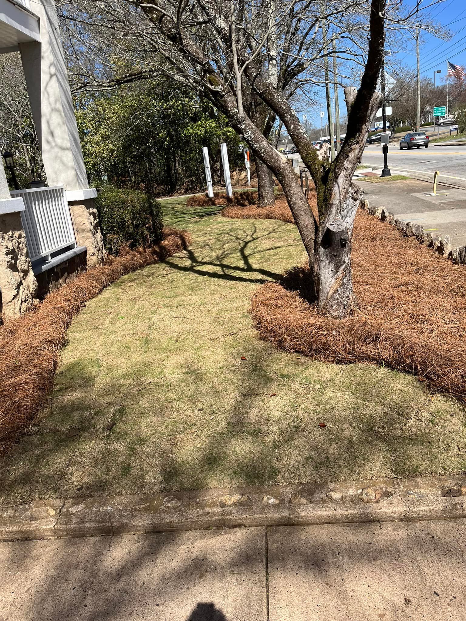 Front yard with brown mulch borders and a tree casting a shadow.