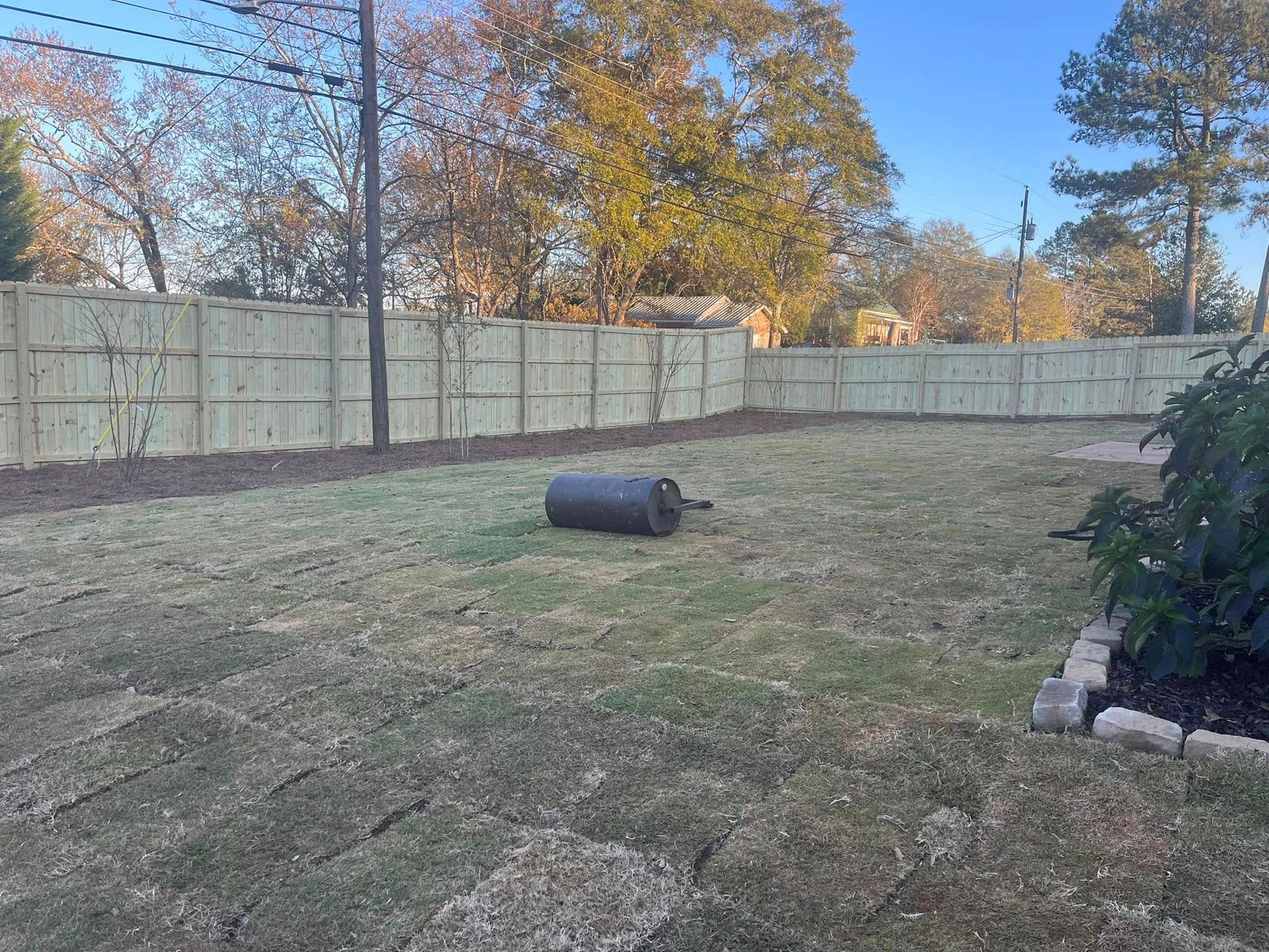 A new sod lawn with a roller and wooden fence in the backyard.