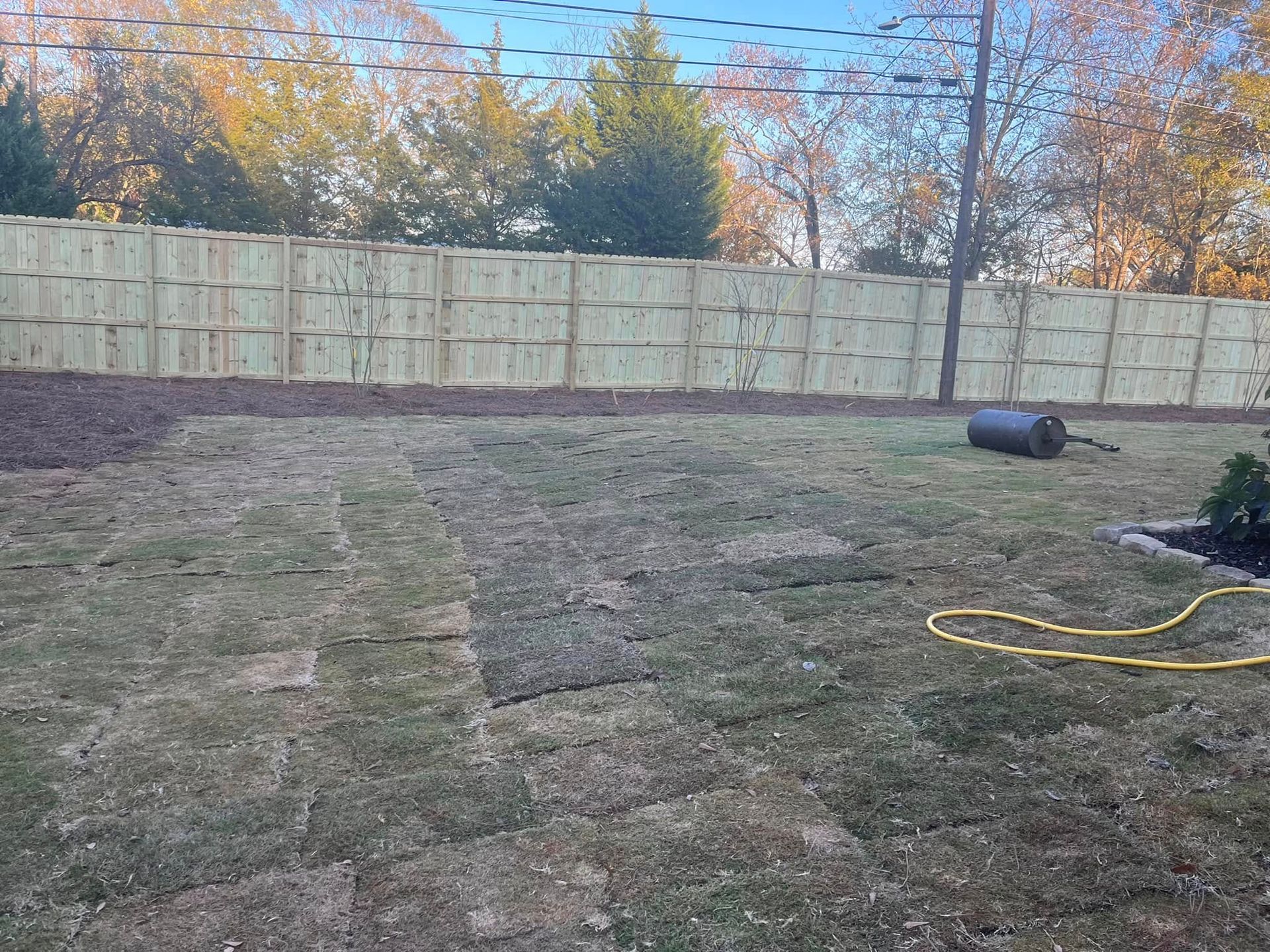 Backyard with patchy grass, wooden fence, and a lawn roller.