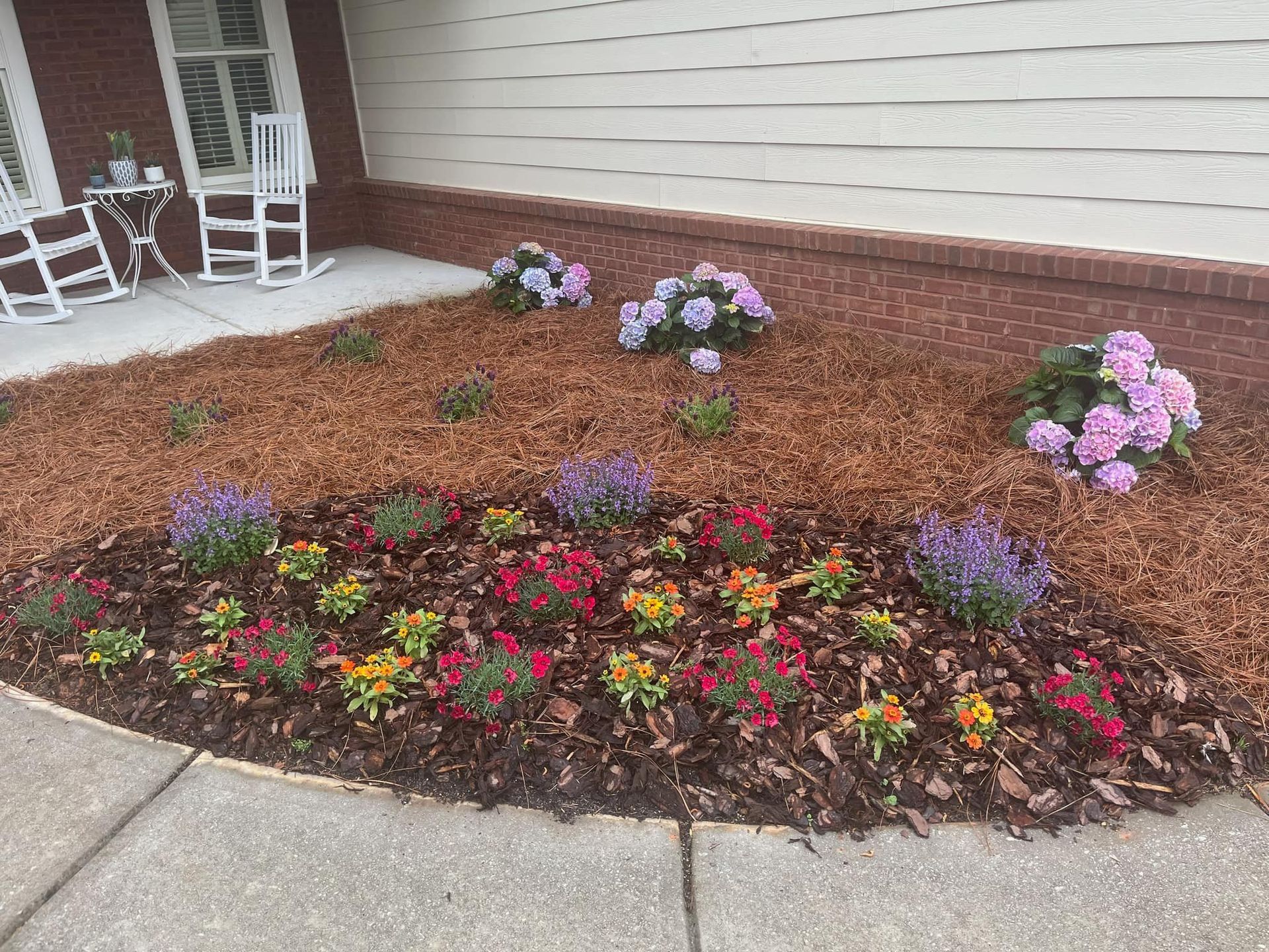 Flower bed with colorful blooms, hydrangeas, and wood chip mulch, near a building's siding.