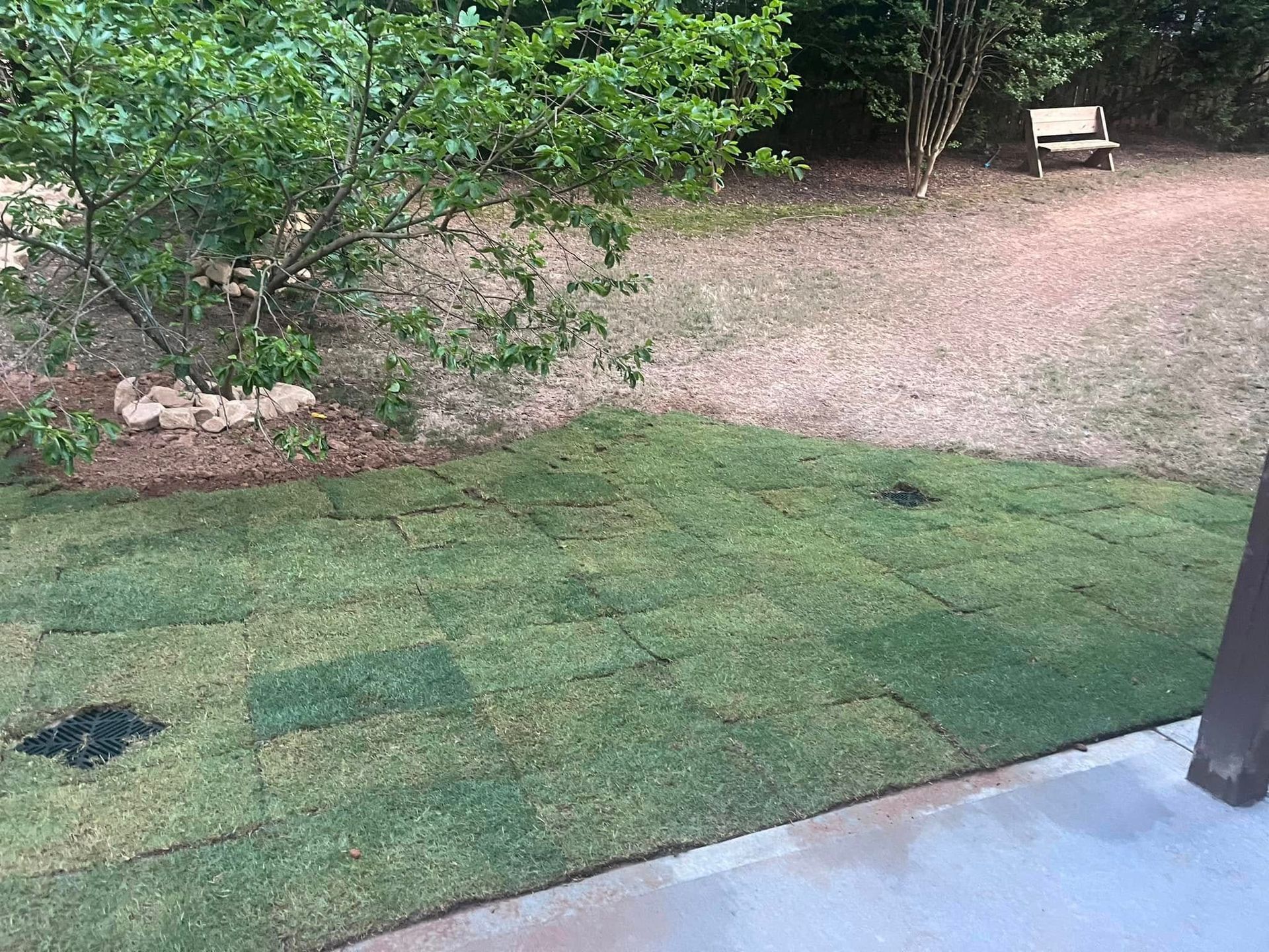 Squares of fresh green sod partially cover a yard; a tree and bench are in the background.