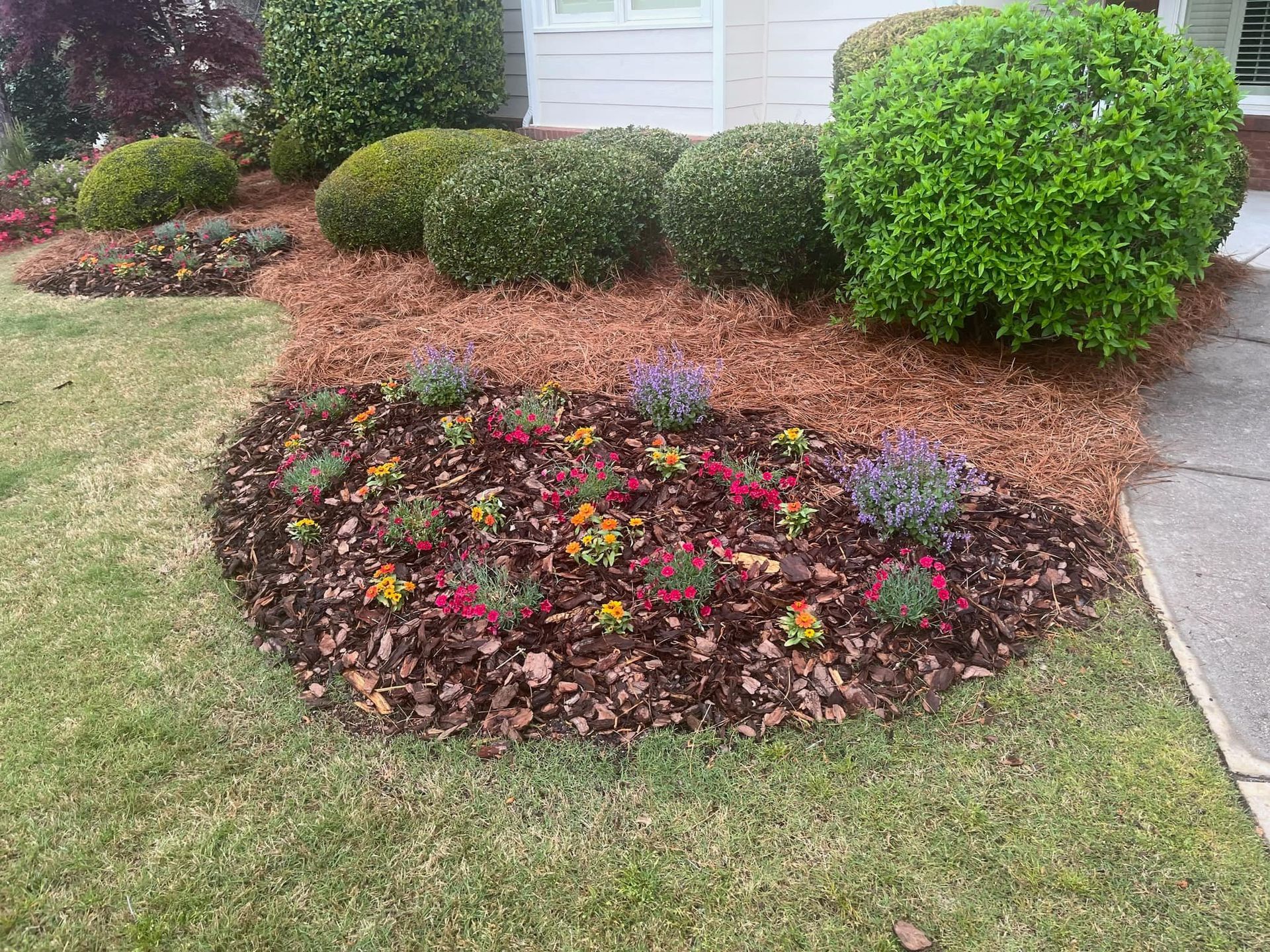 Flower bed with colorful flowers and shrubs in front of a house, covered in mulch.