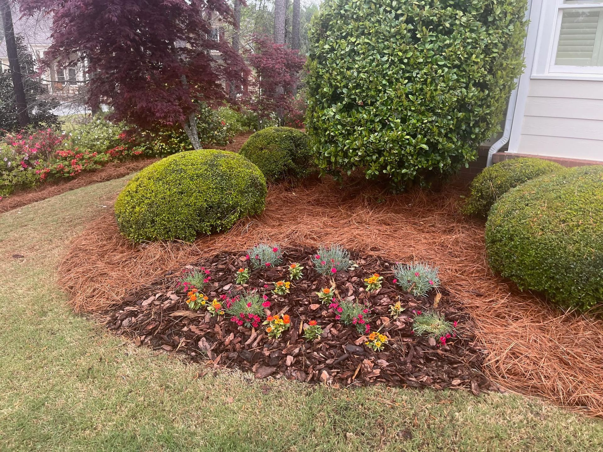 A well-landscaped yard with several bushes and a flower bed. Mulch covers the soil and lush green grass surrounds.