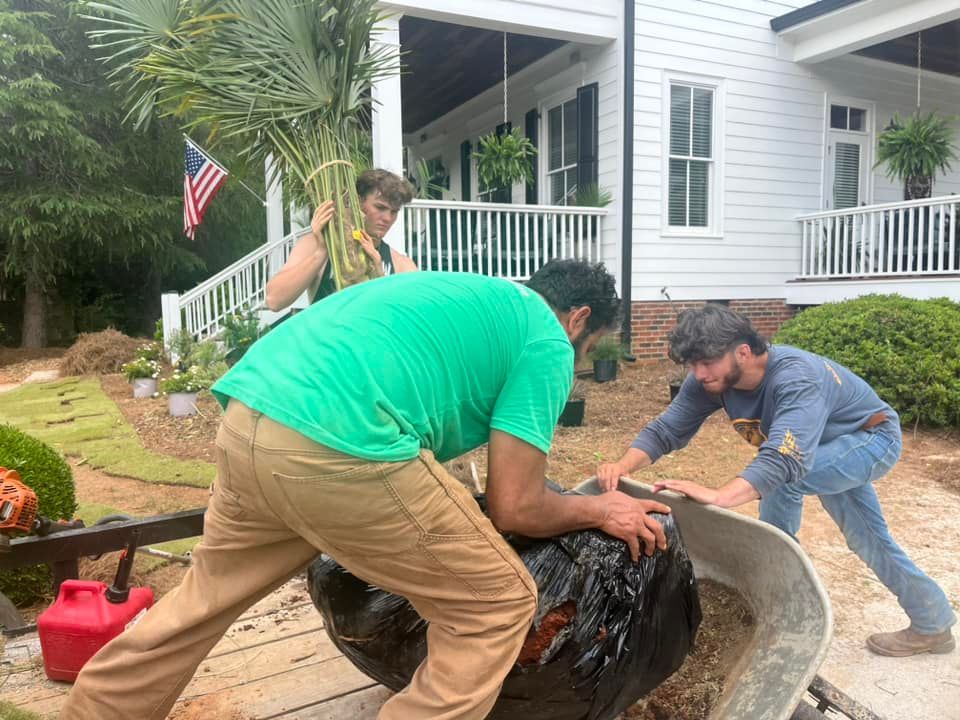 Three people moving a large dark object in a wheelbarrow outdoors near a house. One carries plants.