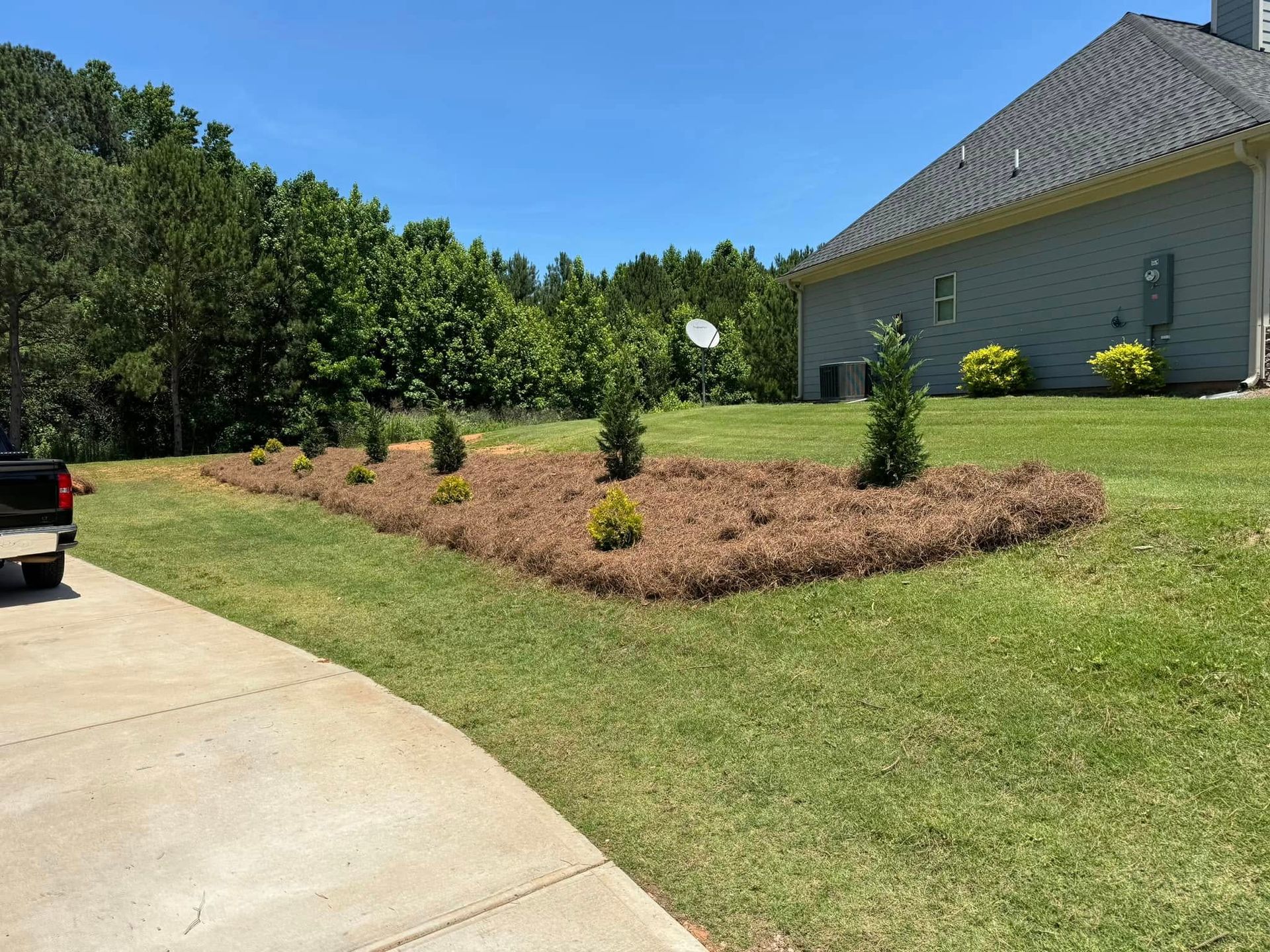 Lawn with landscaping bed with trees and brown mulch in front of a house, bright sunny day.