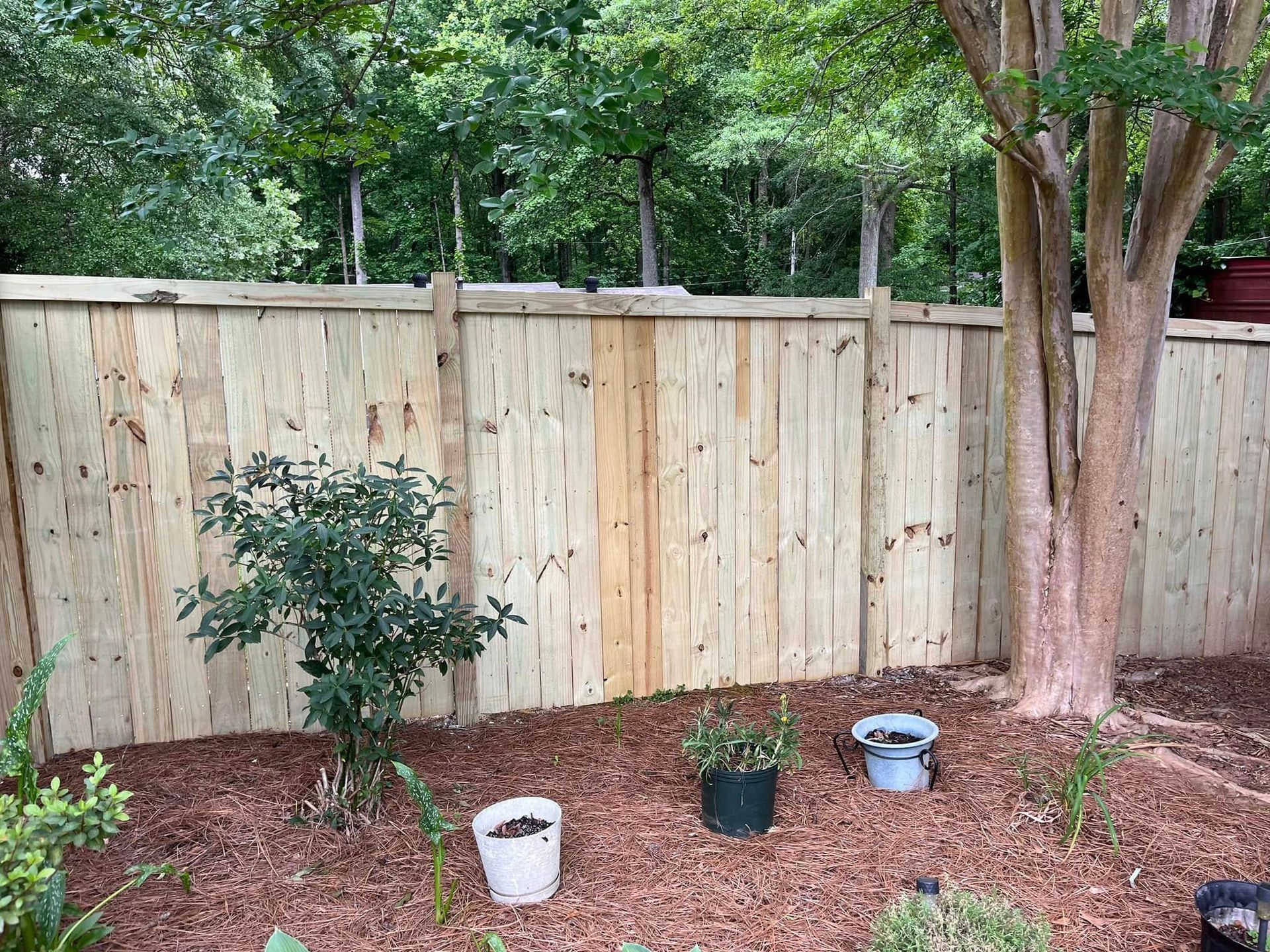Wooden fence, with trees and plants in front. Brown mulch covers the ground.