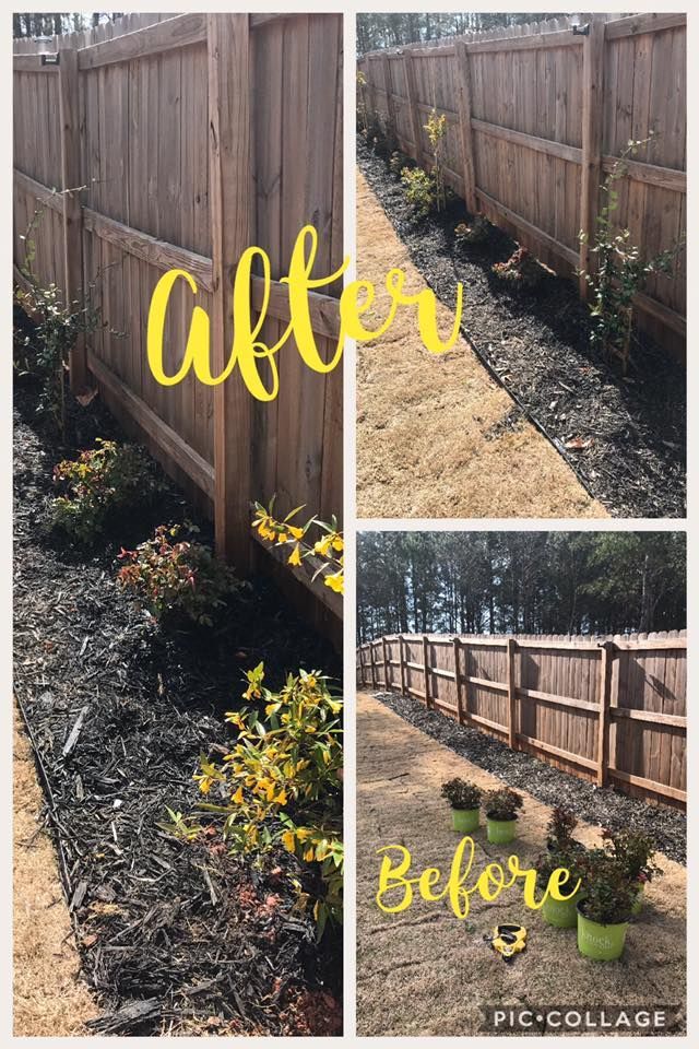 Side-by-side comparison of a fence-line garden before and after landscaping. Dark mulch, plants, and a wooden fence are featured.