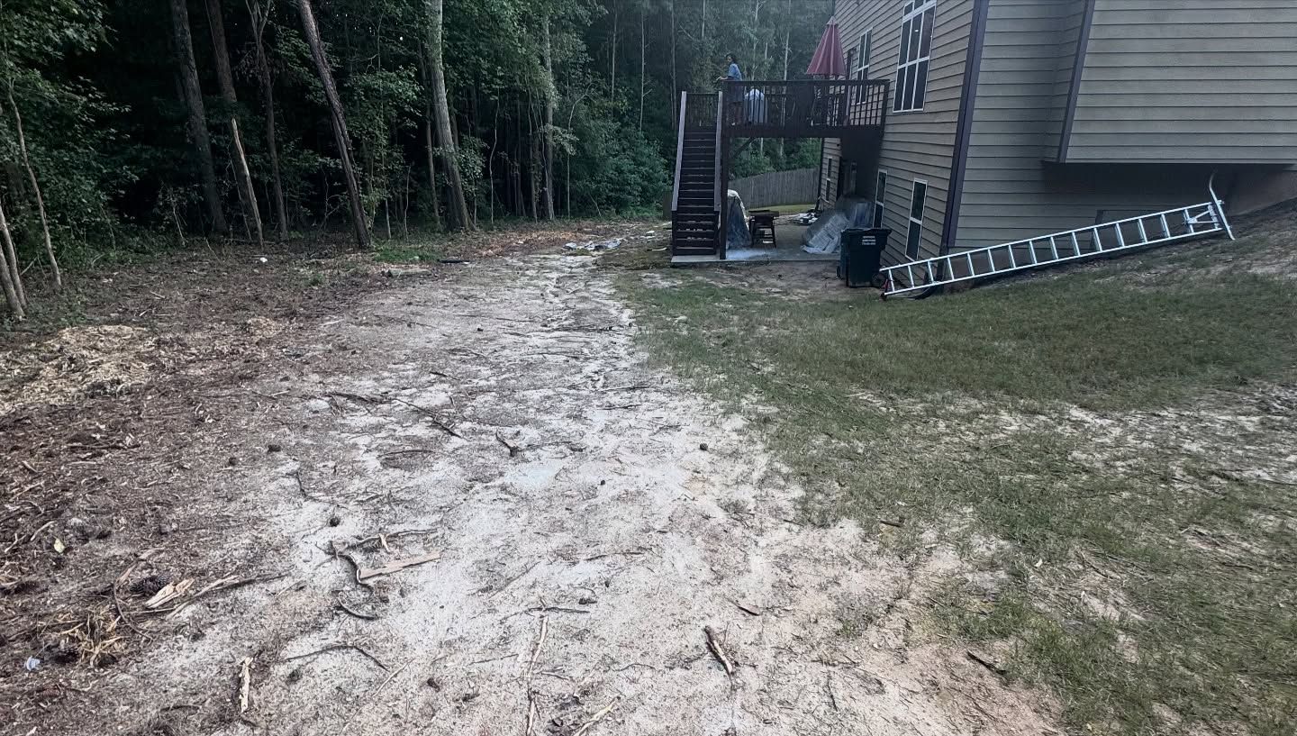 Muddy path leading to a wooden house with a ladder and a deck surrounded by trees.