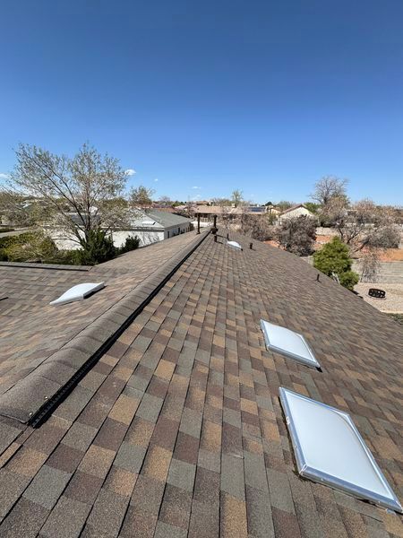 A roof with a lot of skylights on it