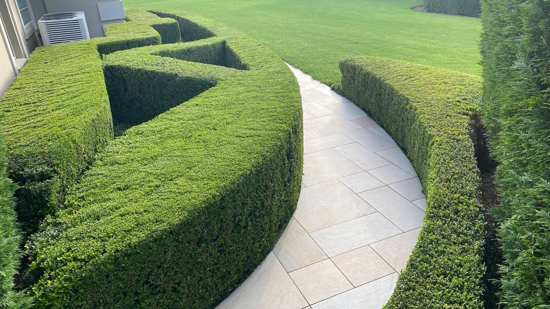 A curved stone pathway winds between sculpted green Buxus hedges in a sunny garden.