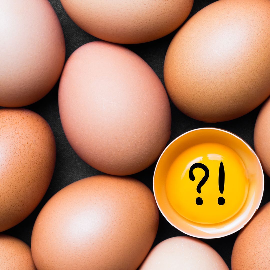 Wieviele Eier sind gesund?