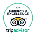 TripAdvisor 2019 Certificate of Excellence award. Teal outline around text and owl logo.