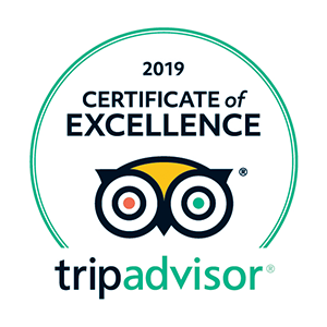 TripAdvisor 2019 Certificate of Excellence award. Teal outline around text and owl logo.