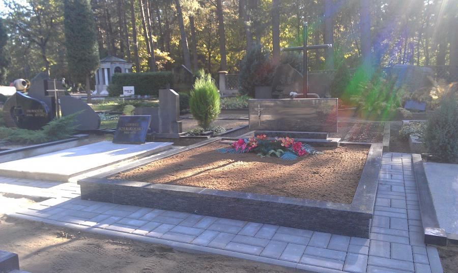 Vienos dalies paminklai