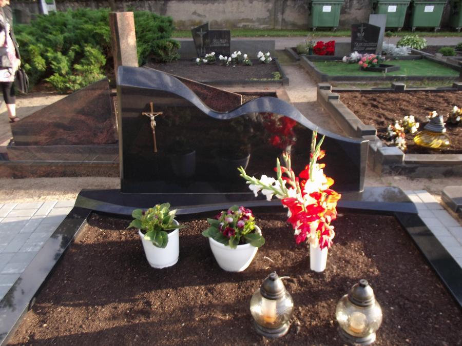 Vienos dalies paminklai