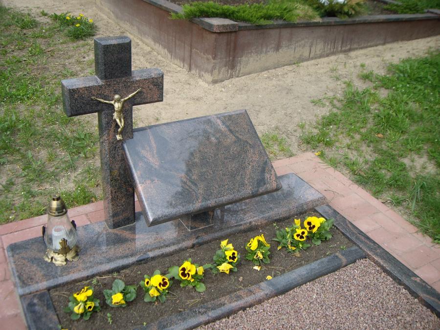 Vienos dalies paminklai