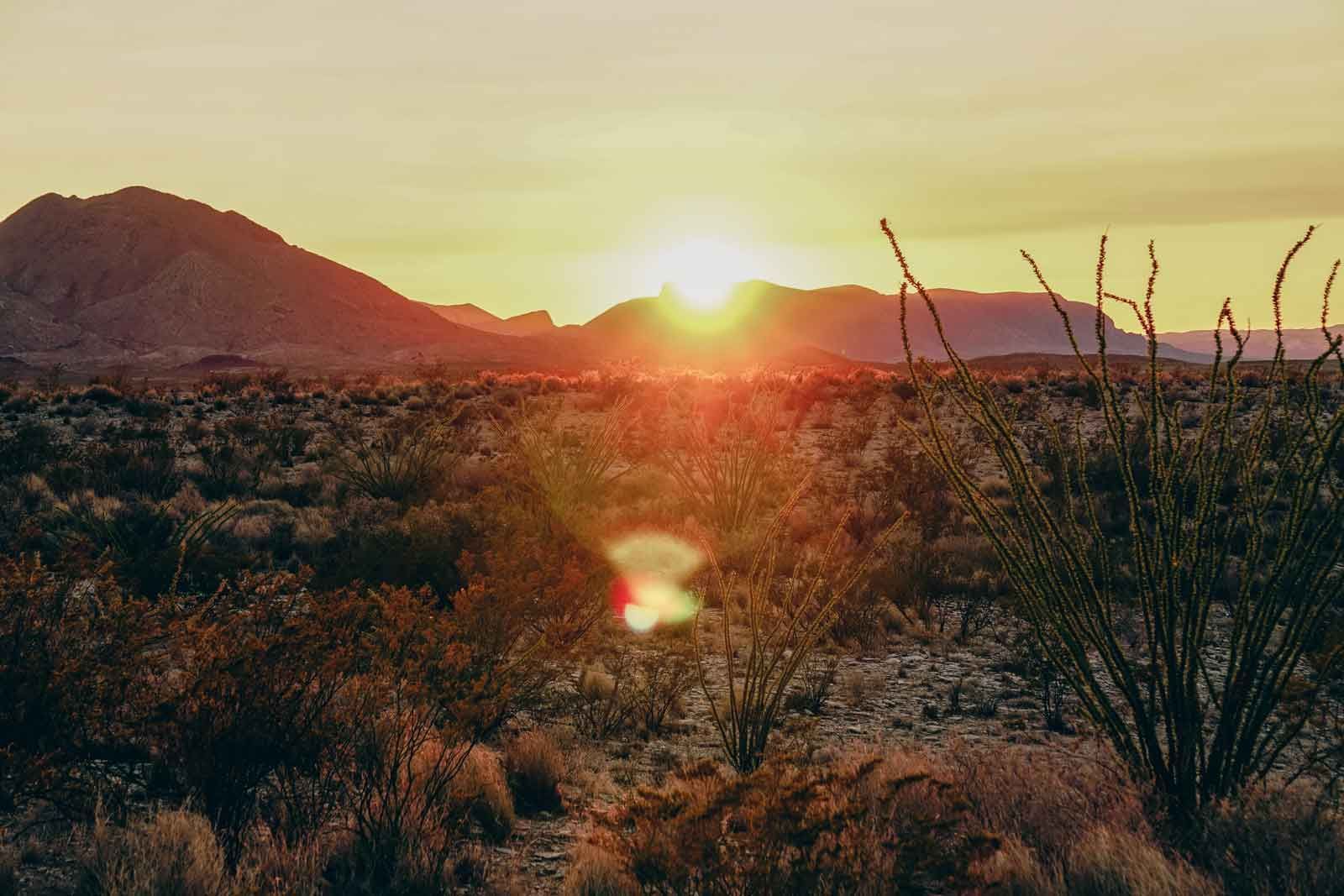 Sunset over a desert landscape with mountains, shrubs, and a bright sun.