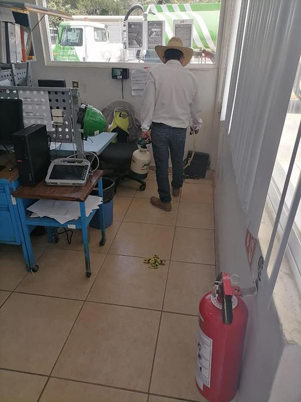 D Y H Sanipest Control de Plagas