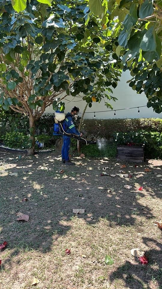 D Y H Sanipest Control de Plagas