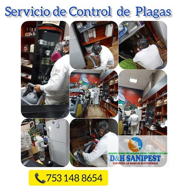
D Y H SANIPEST CONTROL DE PLAGAS