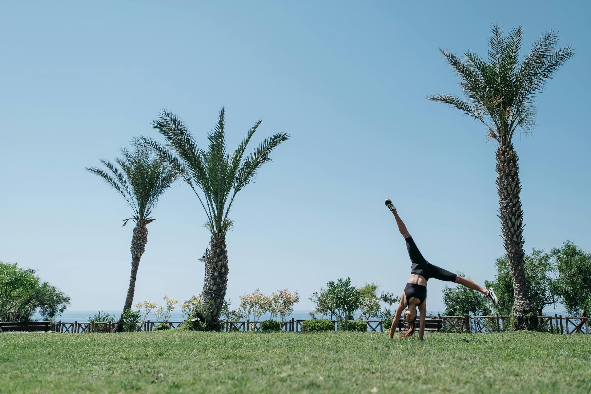 A person is doing a handstand in a park with palm trees in the background.