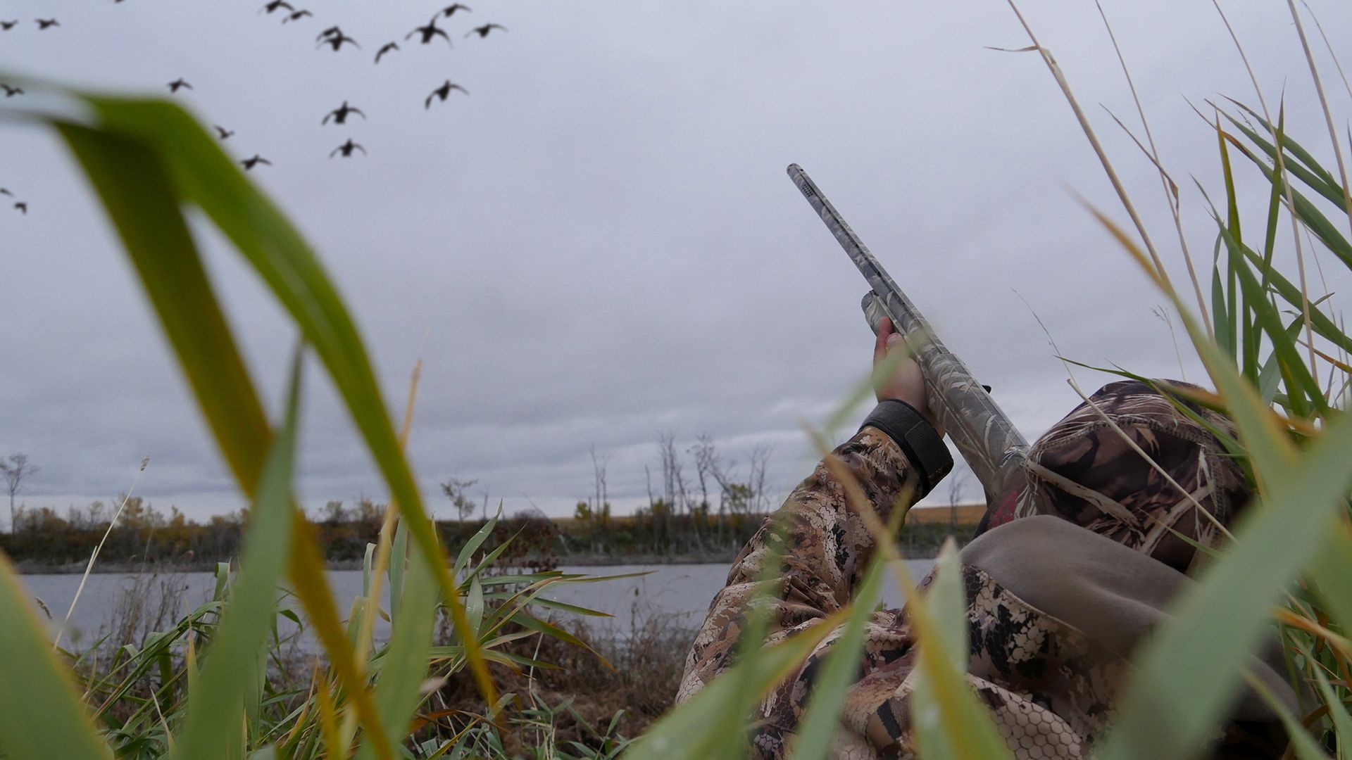man duck hunting