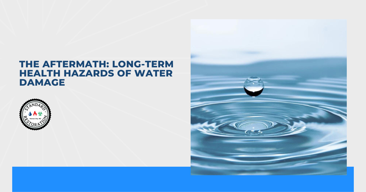 The Aftermath: Long-Term Health Hazards of Water Damage