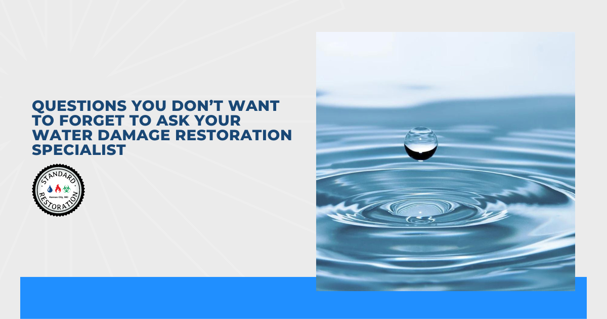 Questions You Don’t Want to Forget to Ask Your Water Damage Restoration Specialist