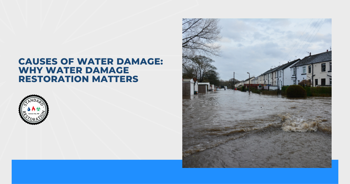 Causes of Water Damage: Why Water Damage Restoration Matters
