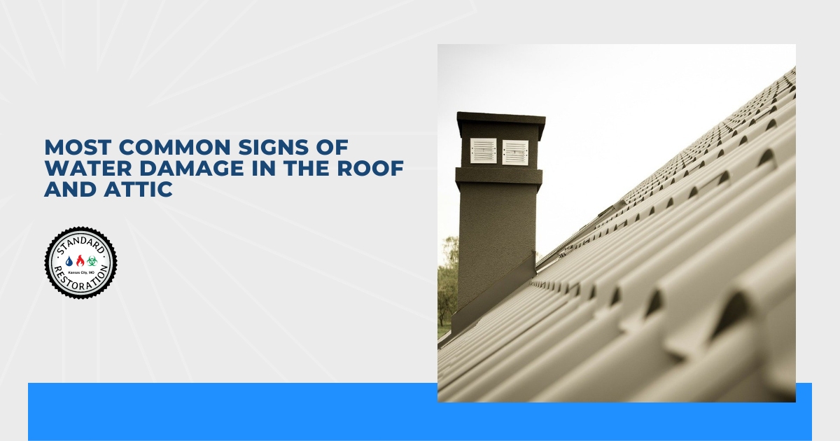 Most Common Signs of Water Damage in the Roof and Attic