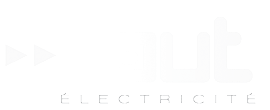 Logo rault electricité