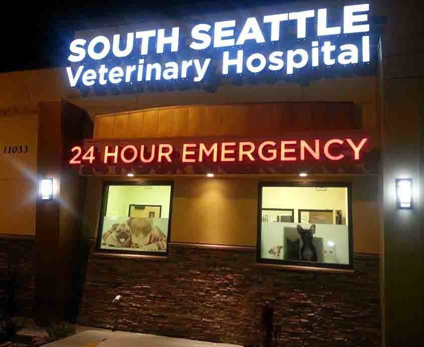 Arthritic Conditions - Hospital with 24 Hour Emergency  Service in Seattle, WA