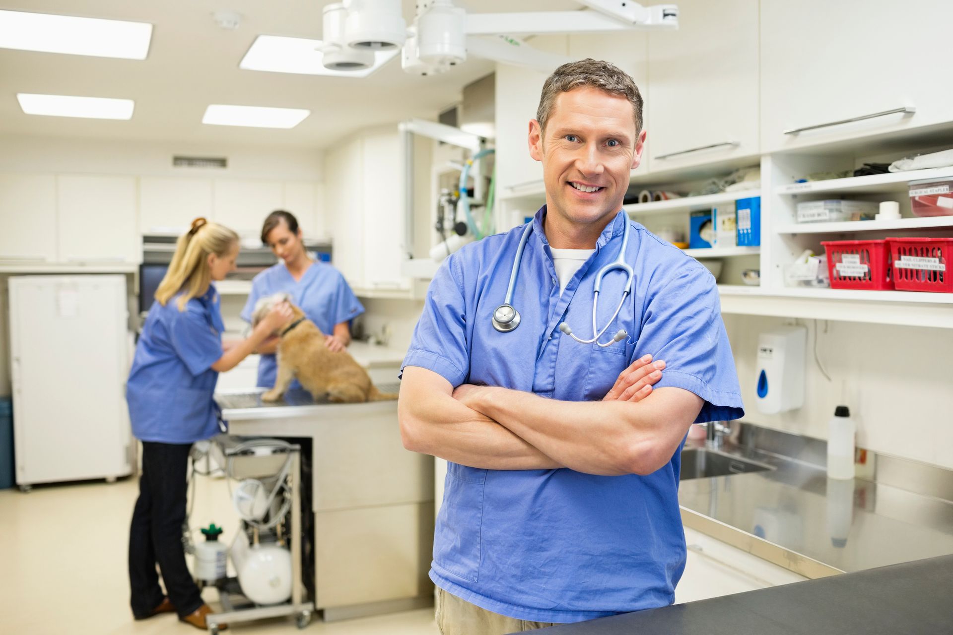 A male veterinarian is smiling at the camera. Two female vets are in the background checking a dog.