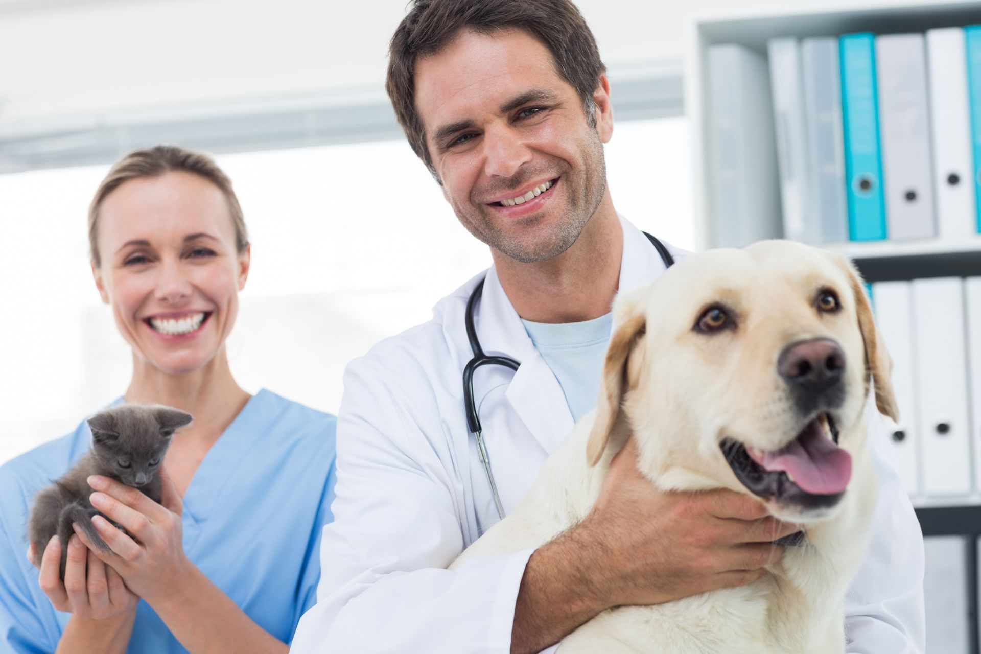 A veterinarian from the veterinary clinic South Seattle Veterinary Hospital in Seattle, WA, is holding a dog