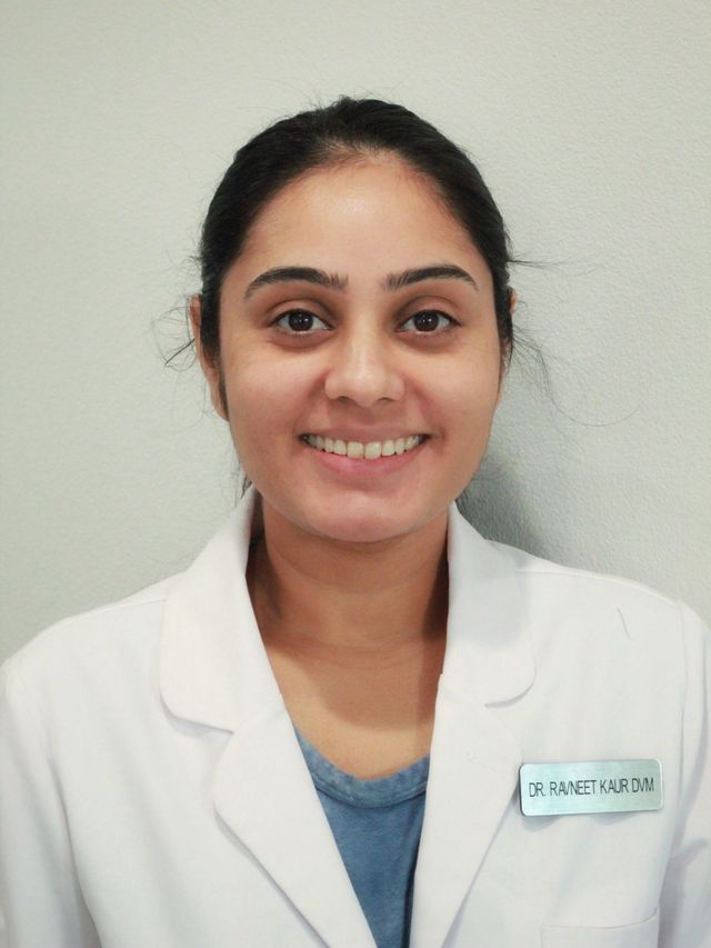 South Seattle Veterinary Hospital Seattle Washington